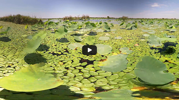 Louisiana Virtual Reality: Lake Charles V2